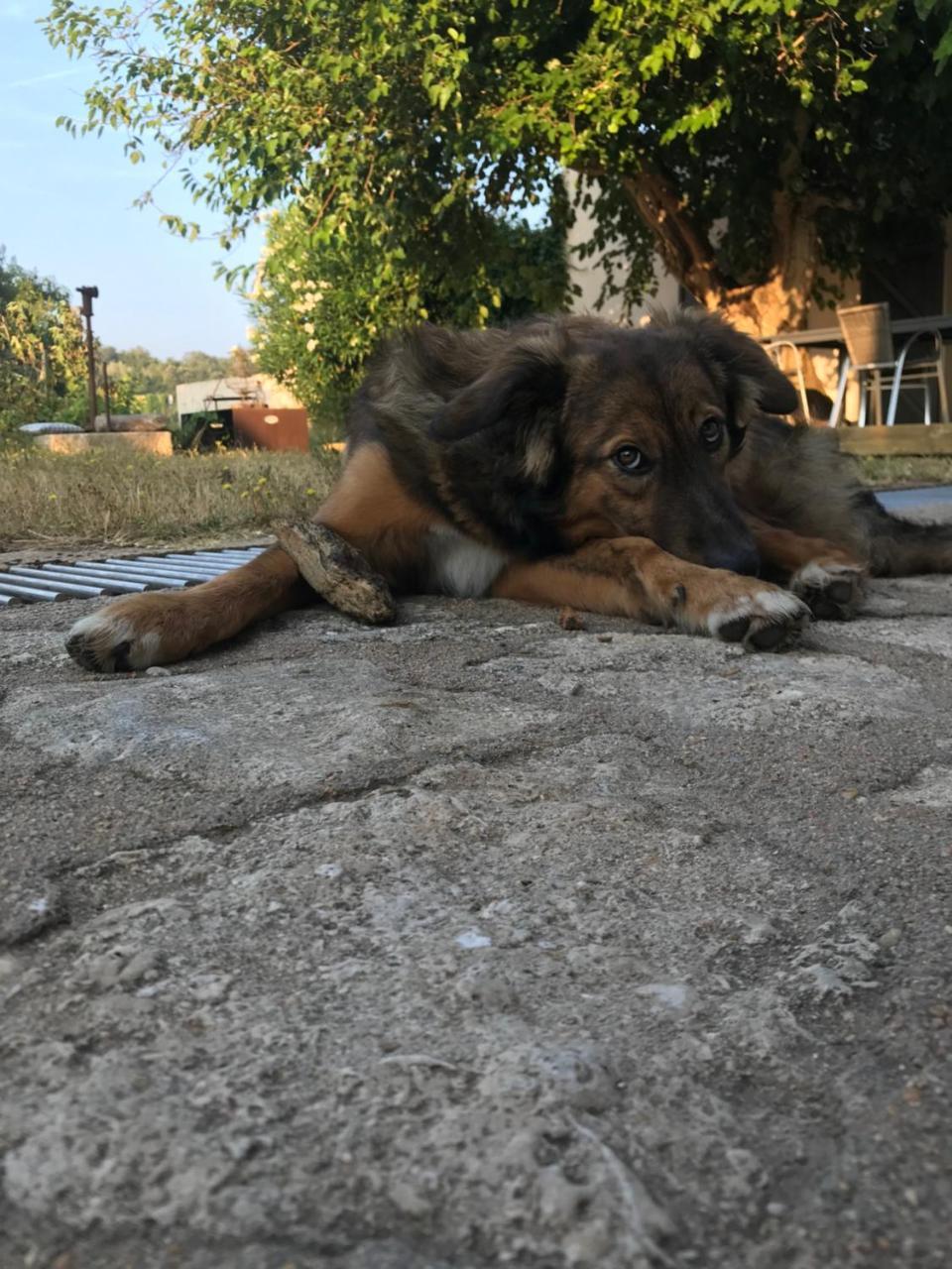 A Loghja Di Cavallo Morto Bonifacio  Ngoại thất bức ảnh